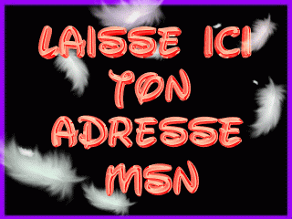 msn